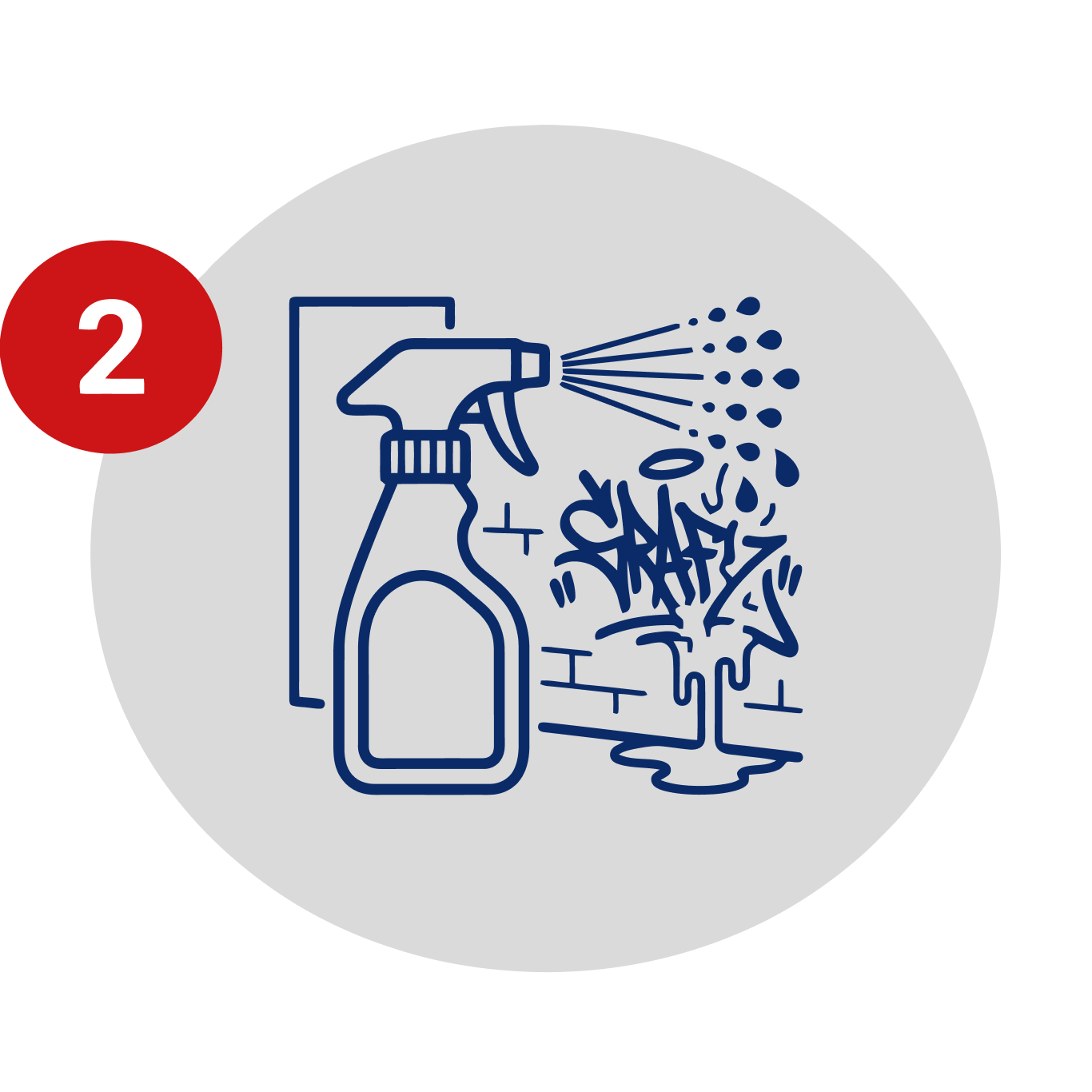 graffiti-soft-wash-chemical-icon-liberty-softwash 1